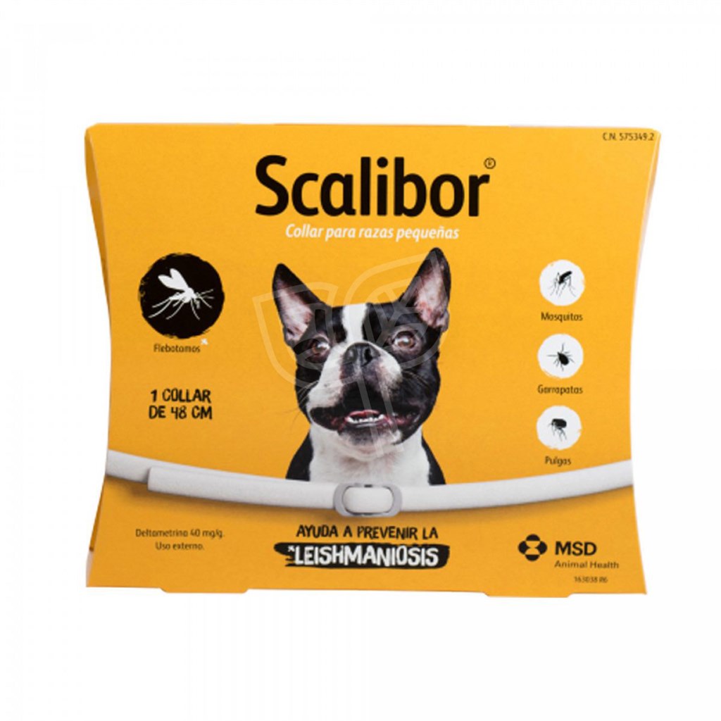 SCALIBOR COLLARECANE  48 CM - TAGLIA MEDIA-PICCOLA